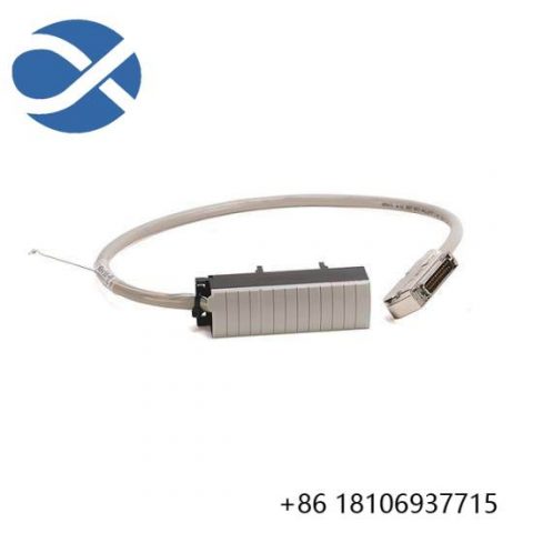 AB Control Electronics 1492-ACABLE025UA Analog Cable - Advanced Industrial Signal Connection, 200 Characters or Less