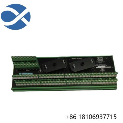 Moore 16169-1-07 SAM: Industrial Analog Module for Precision Control