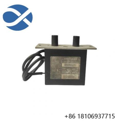 BERU W-ZG 02/V Ignition transformer - Engine Control Module, High Performance, Automotive Electronics