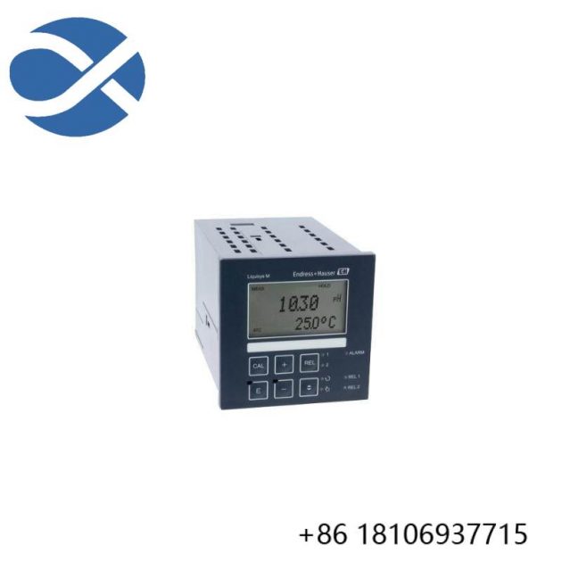 E+H Liquisys CPM223-PR0005 pH/ORP Transmitter, Precision Monitoring for Industrial Processes