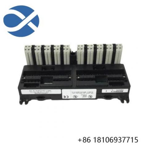 GE FANUC IC670CHS002 - Advanced I/O Terminal Block for Industrial Control Applications