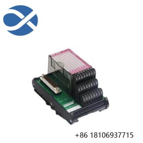 Foxboro P0916AA I/A Series Control Module