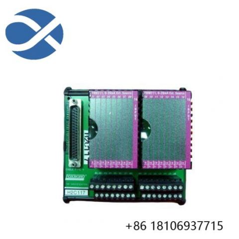 Foxboro P0916BT: I/A Series Module for Industrial Control Systems