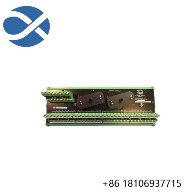 SIEMENS 16169-1-07 Analog Input/Output Module, Industry-Class Automation