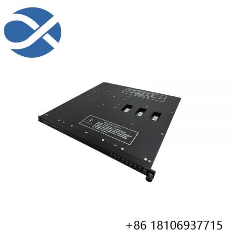 TRICONEX 3604E PLC Digital Output Modules